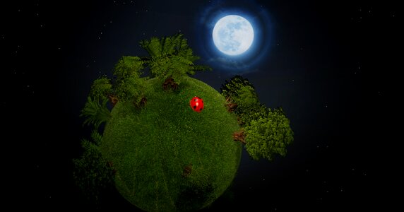 Ball trees beetle
