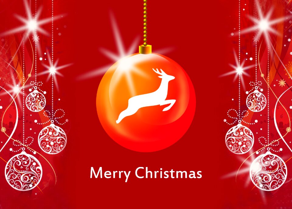 Celebrate winter merry