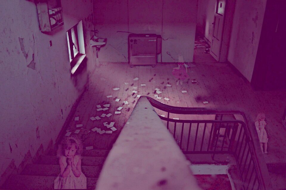 Abandoned house birds teddy bear
