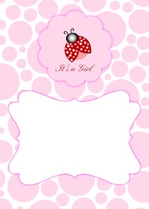 Announcement ladybird party