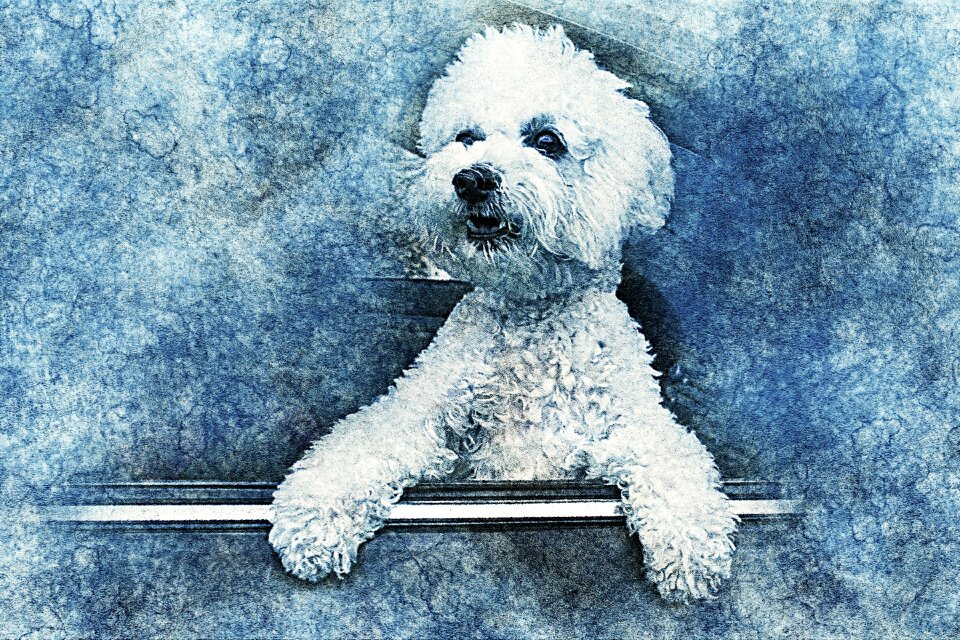 Abstract vintage animal