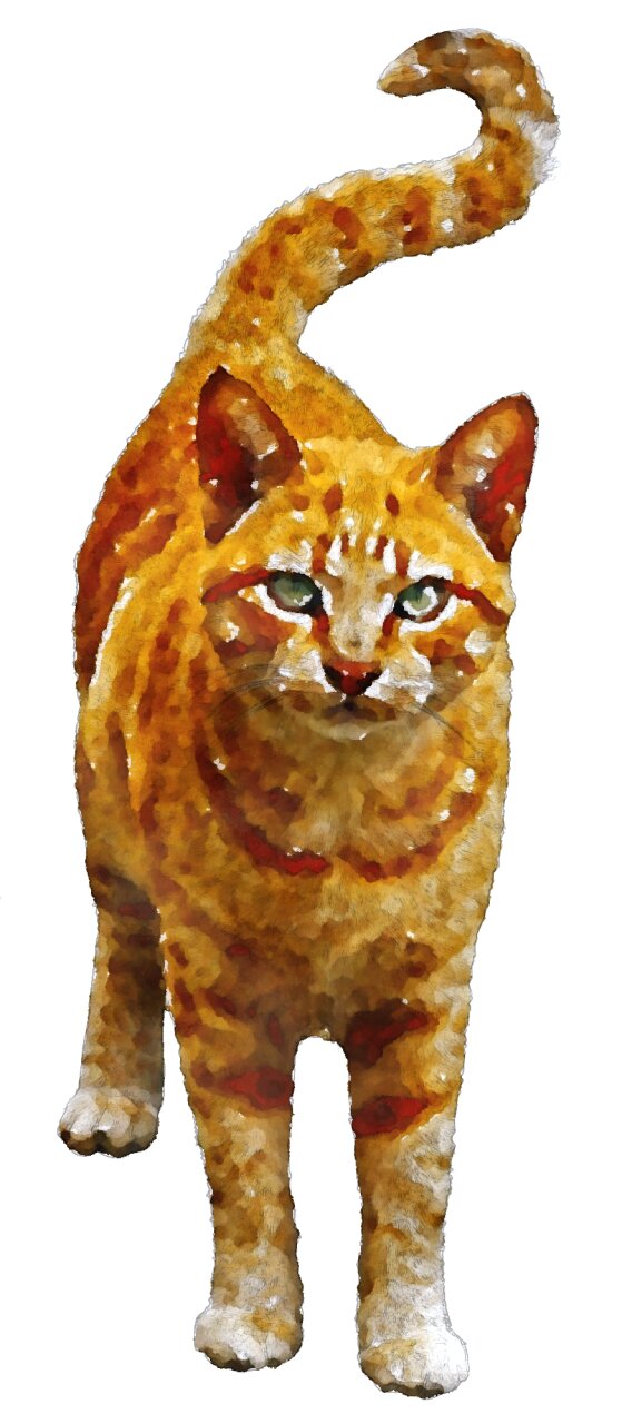 Domestic cat oekaki cute