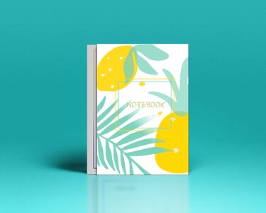 Lemon fruit Free illustrations