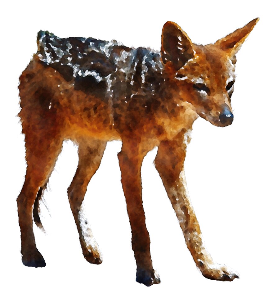 Animal oekaki cute