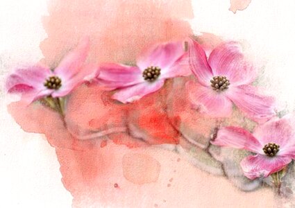 Background watercolour Free illustrations