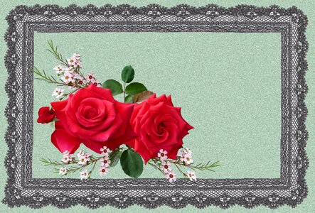 Lace frame Free illustrations