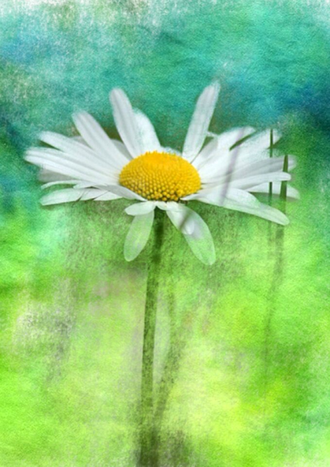 Watercolour green art green watercolor