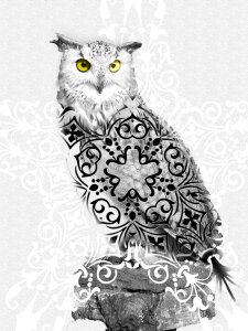 Drawing art bird