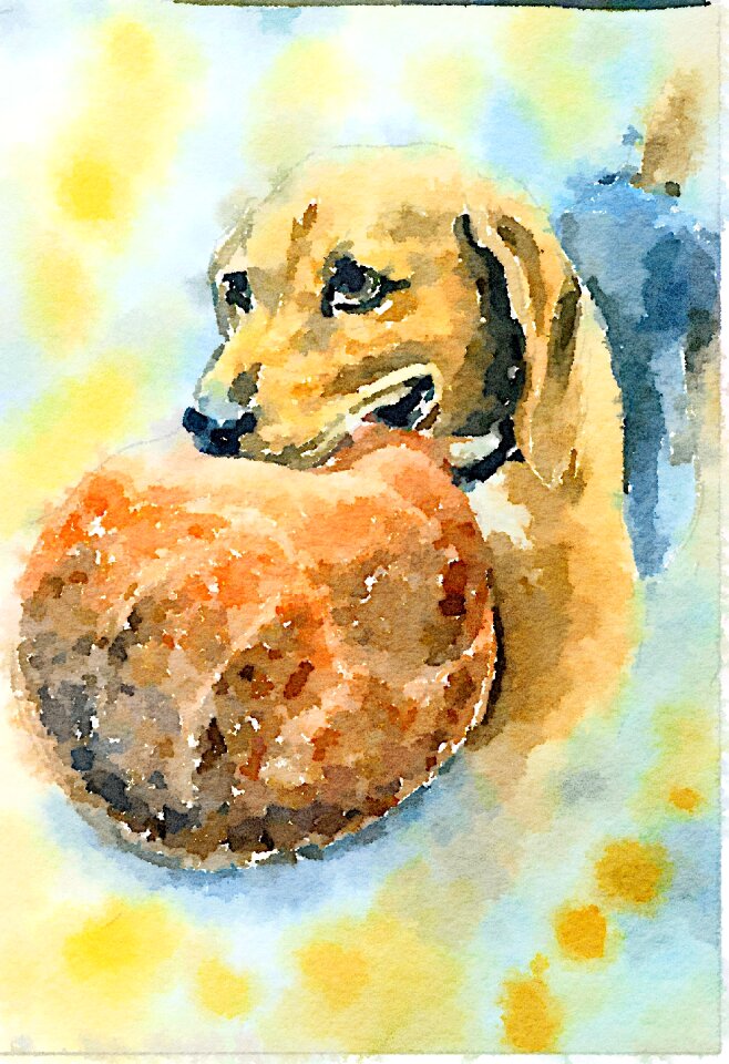 Ball watercolour Free illustrations