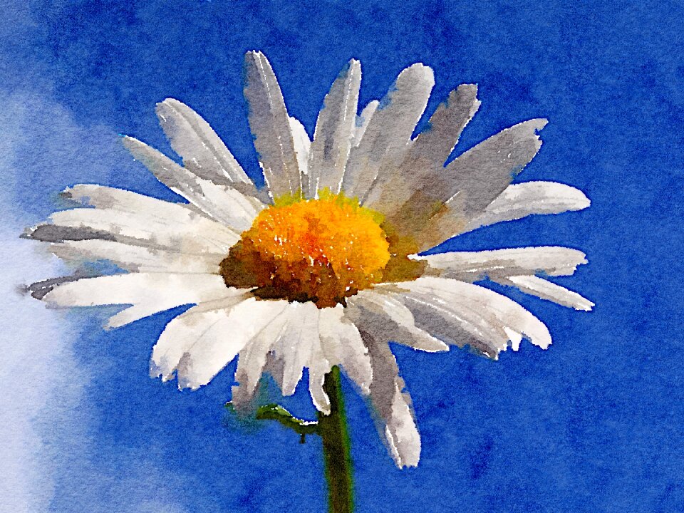 Art blue watercolor Free illustrations
