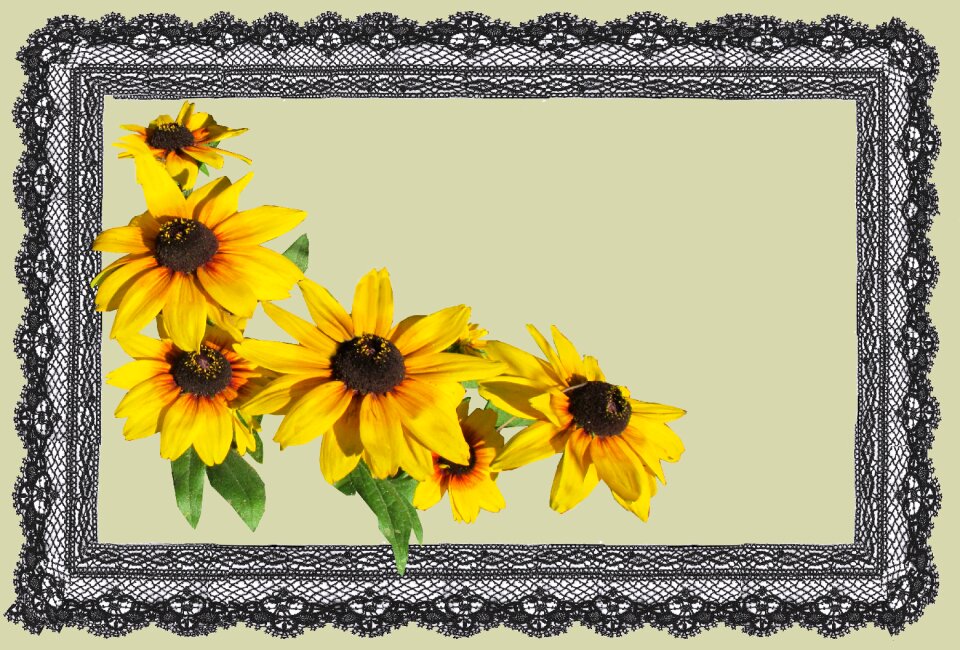 Flower lace frame