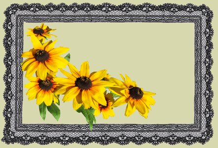 Flower lace frame