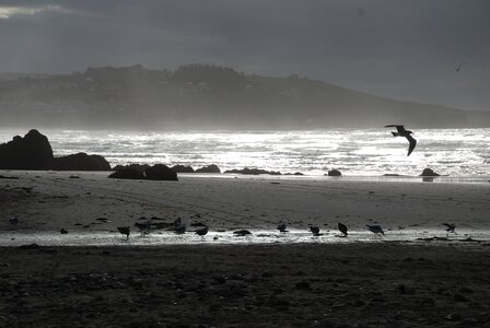 Beach landscape marine