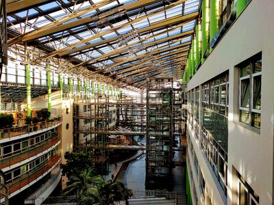Columnar window atrium