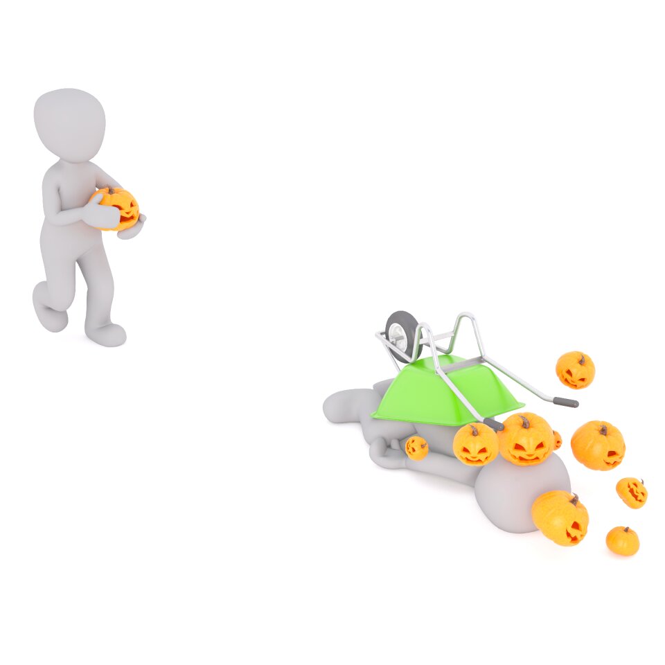 Fash faces pumpkins