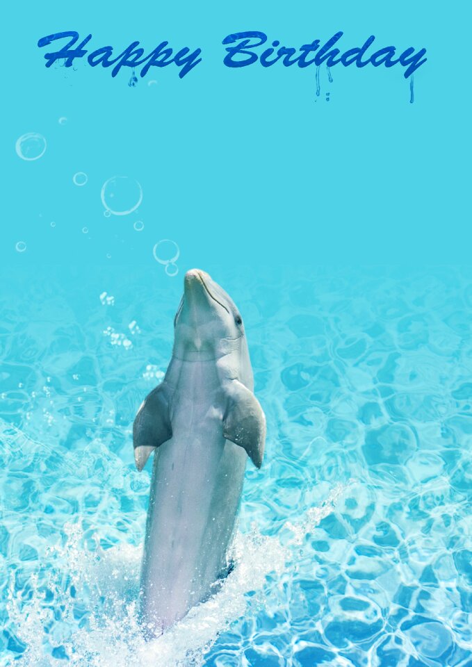 Fish swim inject