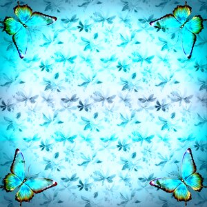 Texture scrapbook butterfly