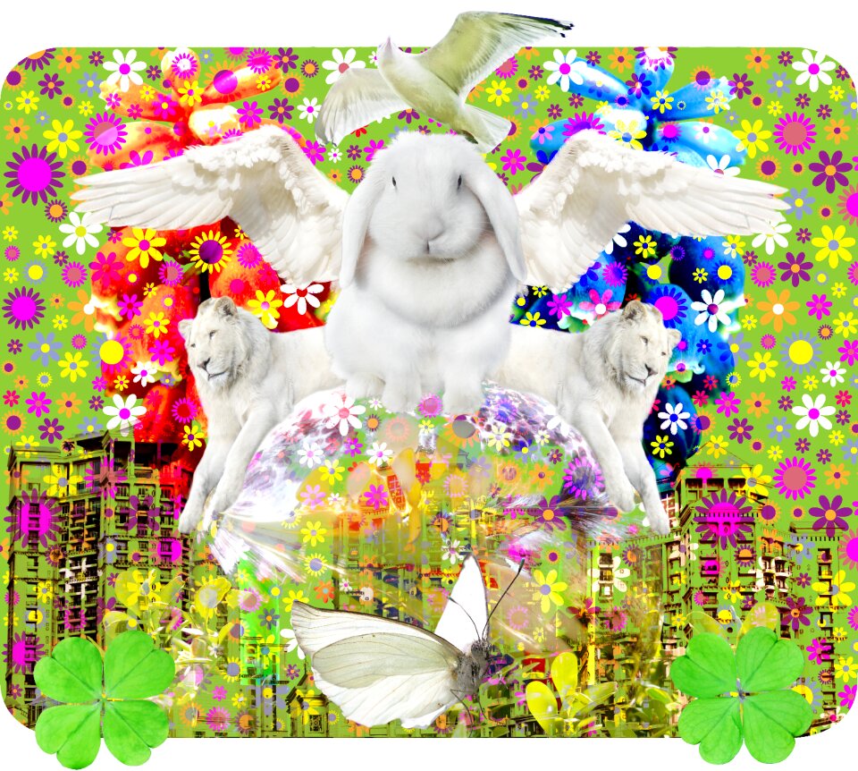 Happiness rabbit bunny