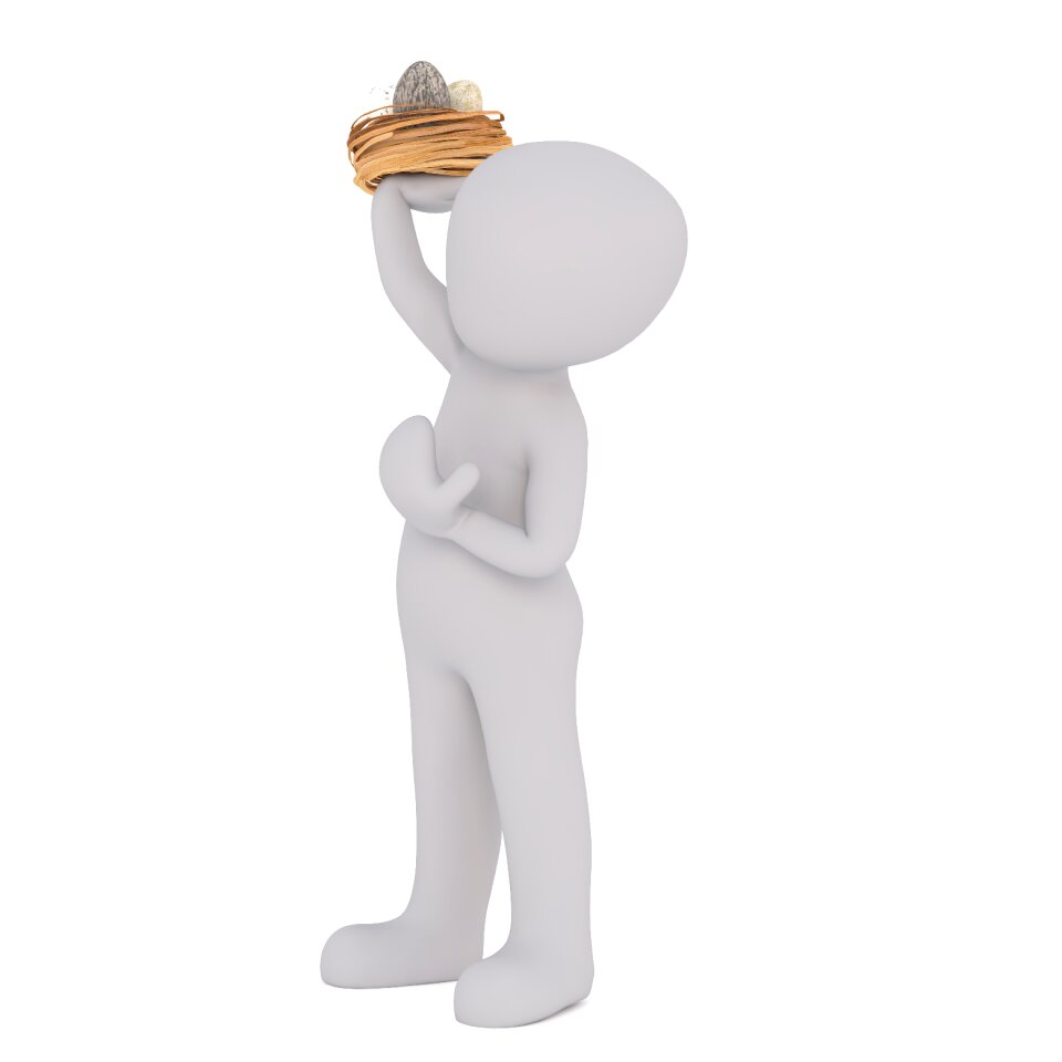 Cooking cook chef's hat