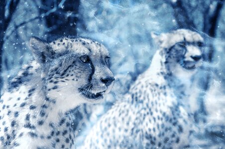 Art vintage winter