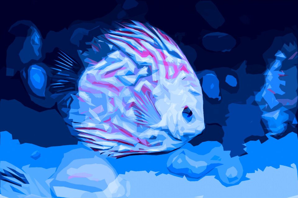 Undersea world sea world cyanide