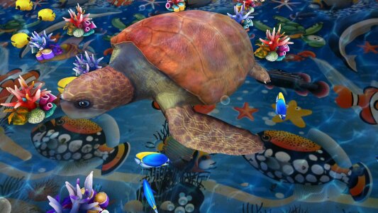 Turtle reftilia Free illustrations