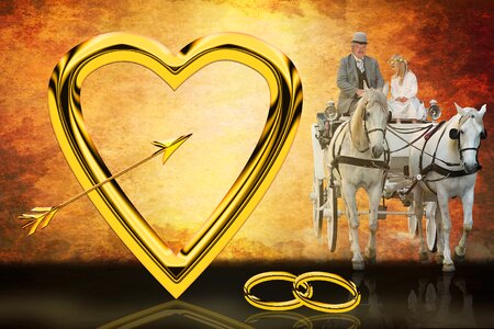 Rings symbol amor