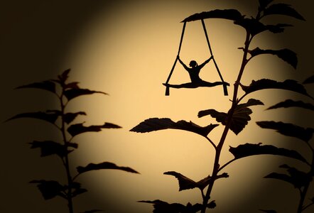 Silhouettes plant artist
