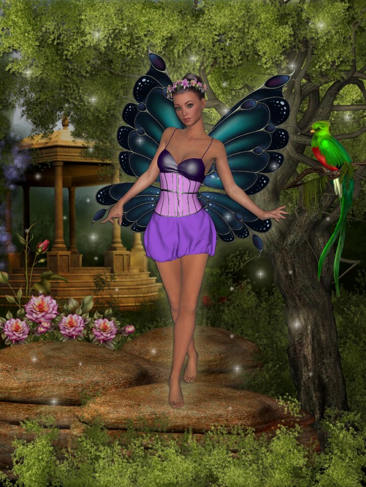 Butterfly beautiful photoshop