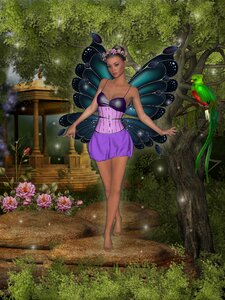 Butterfly beautiful photoshop