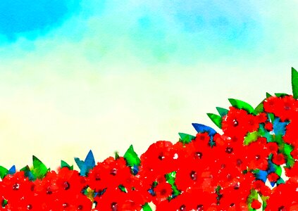 Paper background backdrop