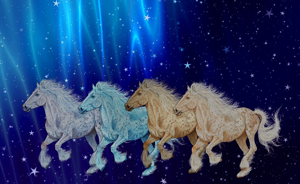 Colors four horses background