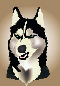 Husky brown angry Free illustrations