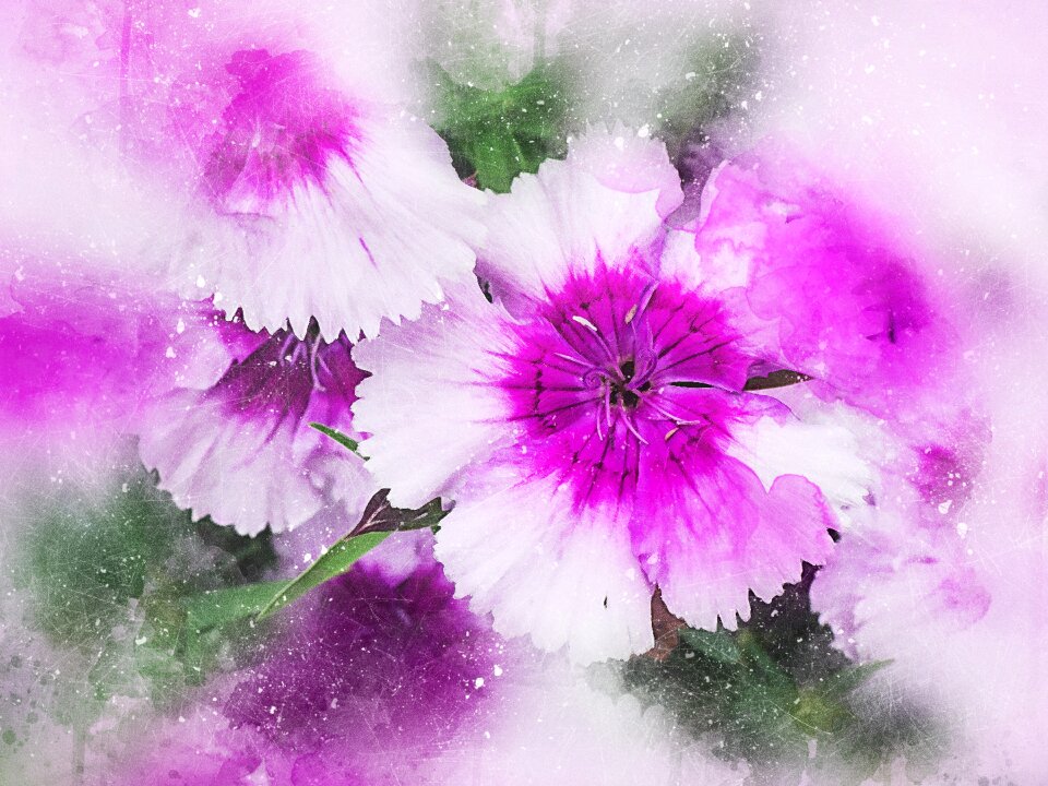 Abstract nature wedding