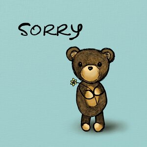 Toy cute apology