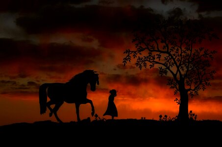 Animal tame friendship