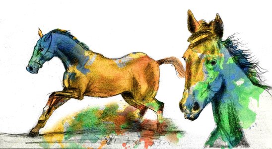 Water-colour colourful Free illustrations