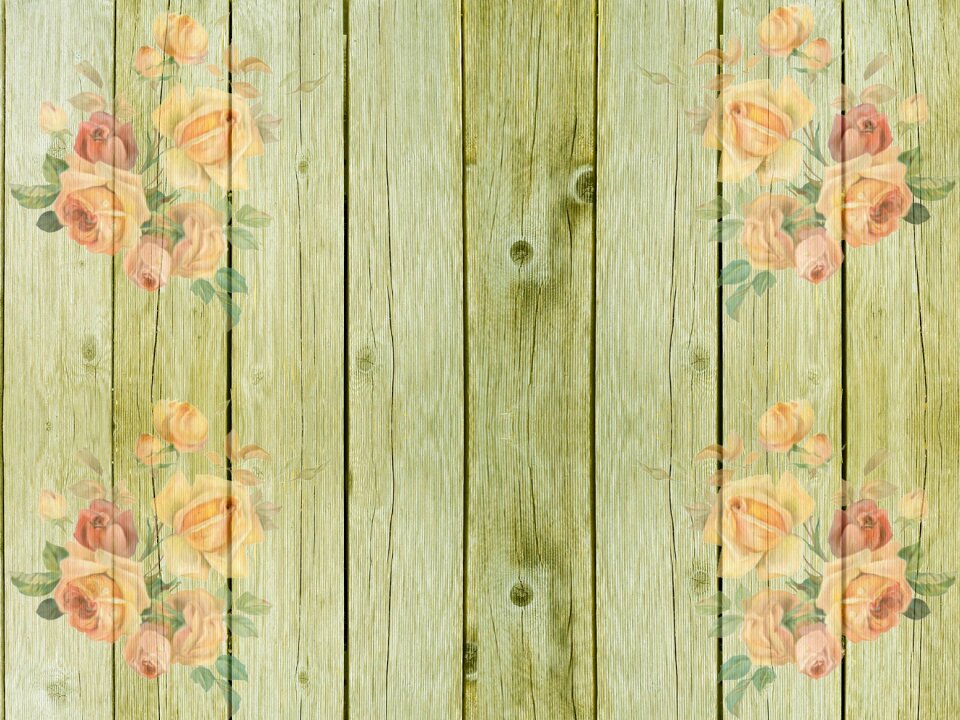 Roses decoration background