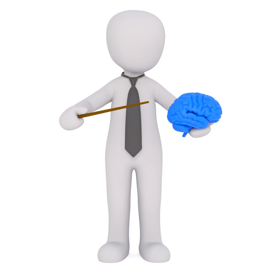 Brain pointer show