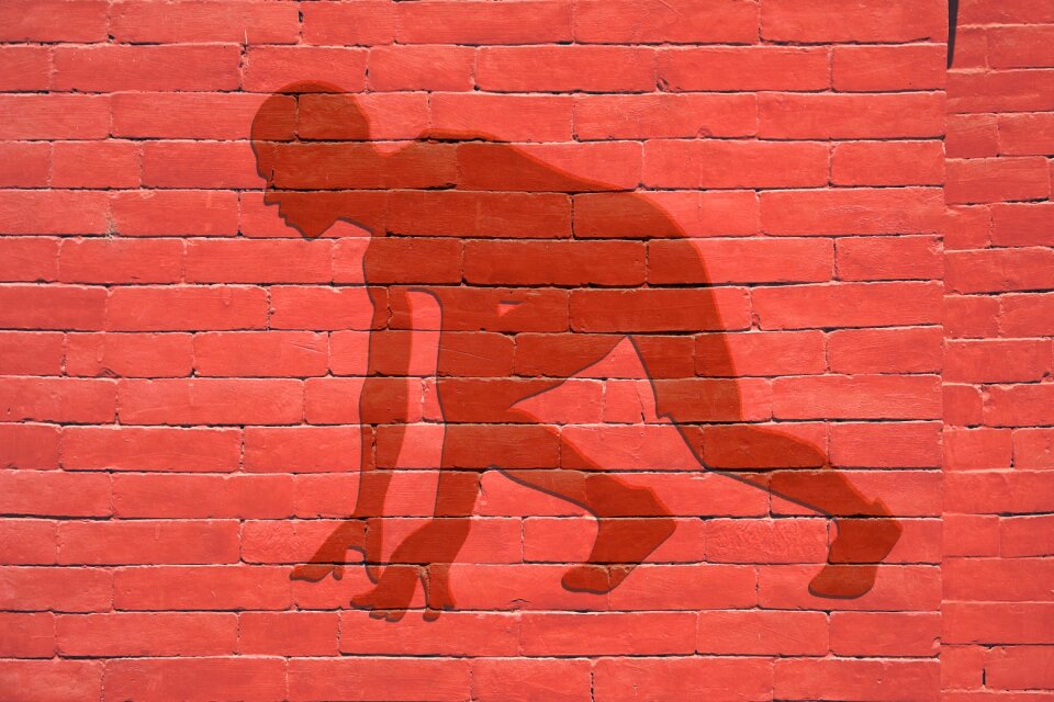 Running sports wear fitness