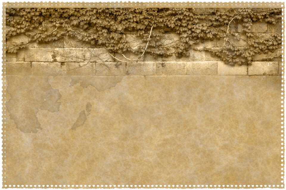 Wall ivy stains