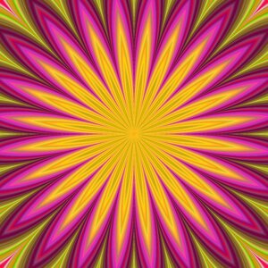 Fabric floral dynamic