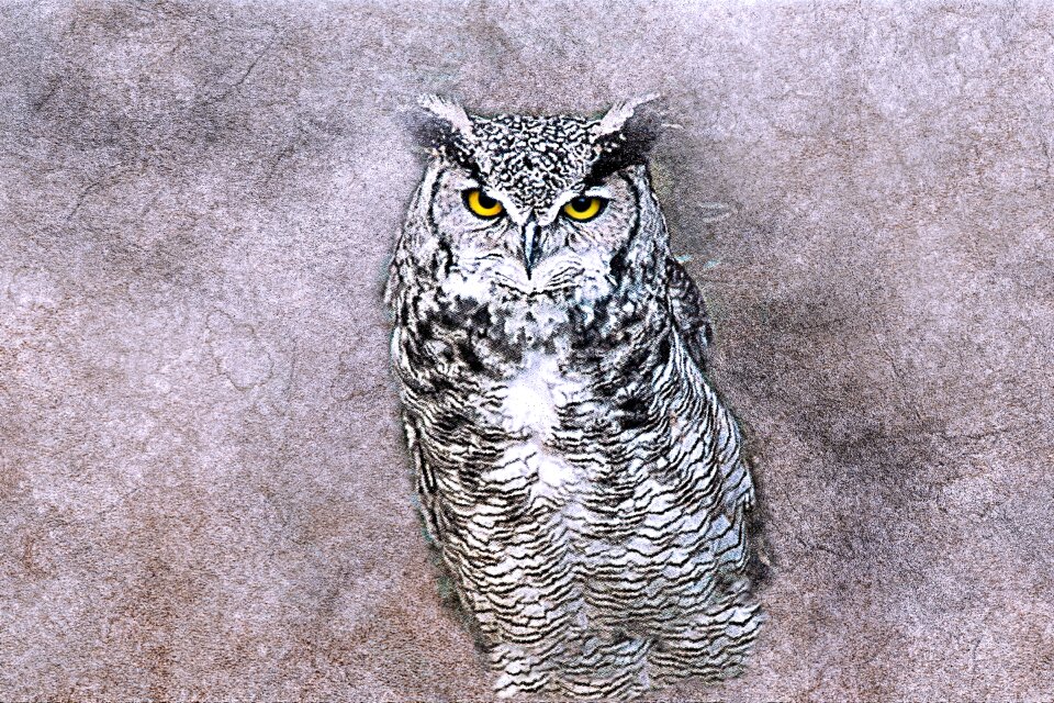 Abstract vintage animal
