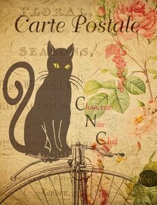 Retro design vintage postcard