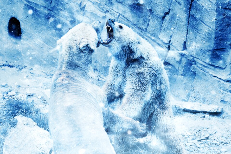 Animal art vintage