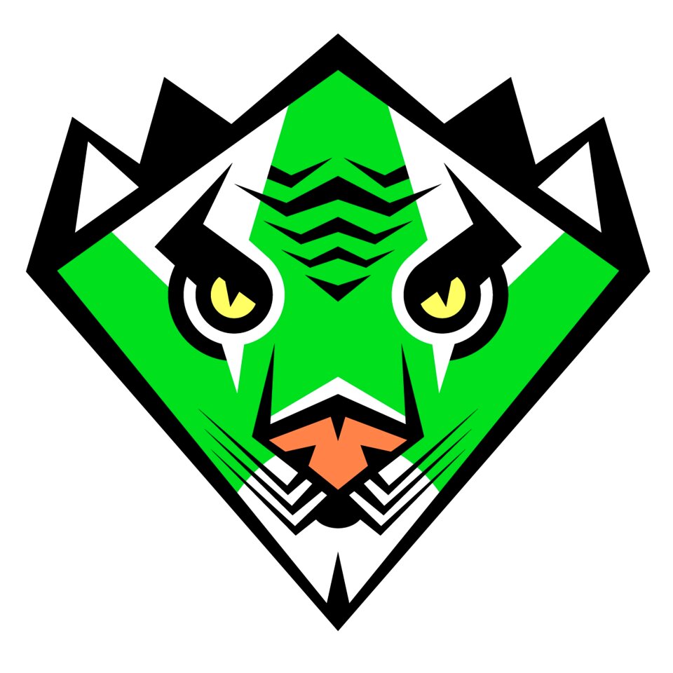 Character design adobe illustrator logo design