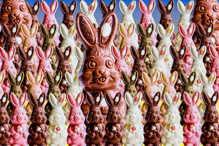 Decoration easter decoration chocolate