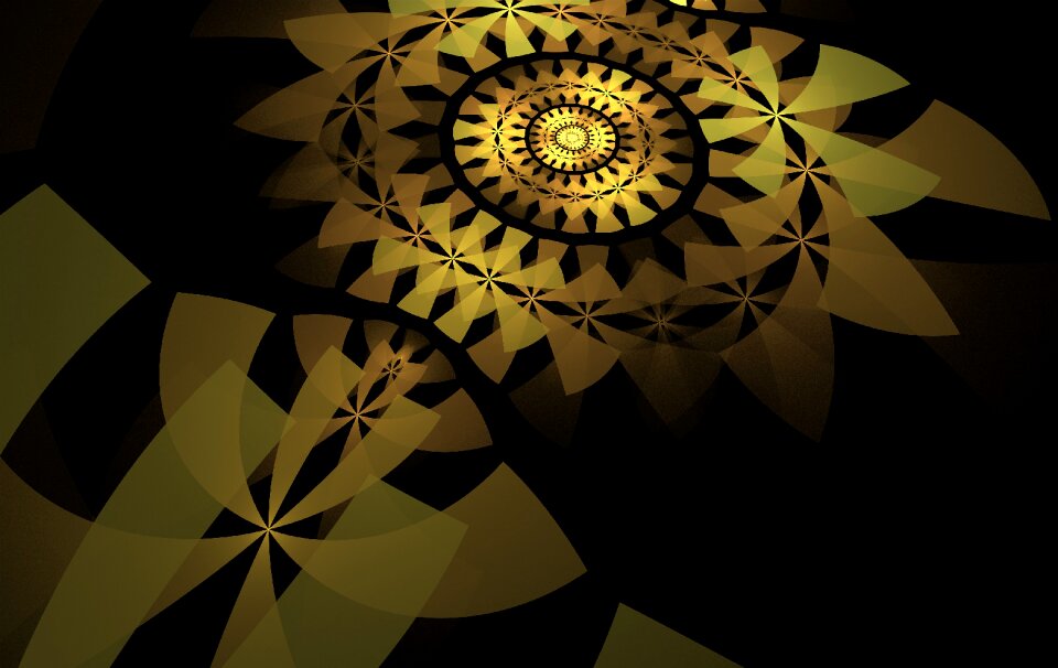 Pattern blossom bloom