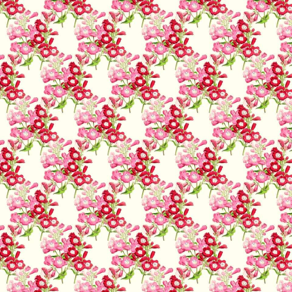 Decorative blossom Free illustrations