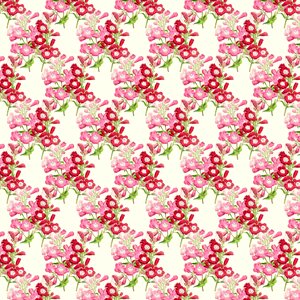Decorative blossom Free illustrations